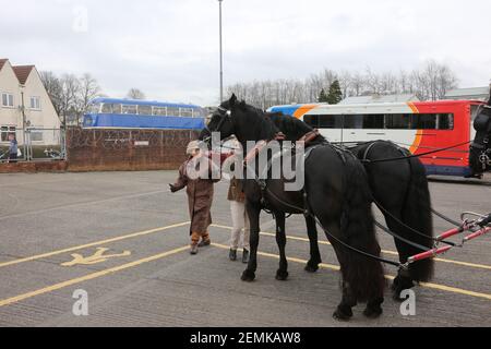 Stagecoach garage, Kilmarnock, Écosse, Royaume-Uni 08 avril 2018. Journée portes ouvertes au dépôt avec divers bus et autocars exposés, rétrogradations et magasins. Un cheval de stagecoach a donné des promenades autour de la cour de garage Banque D'Images