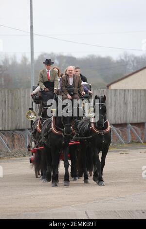 Stagecoach garage, Kilmarnock, Écosse, Royaume-Uni 08 avril 2018. Journée portes ouvertes au dépôt avec divers bus et autocars exposés, rétrogradations et magasins. Un cheval de stagecoach a donné des promenades autour de la cour de garage Banque D'Images