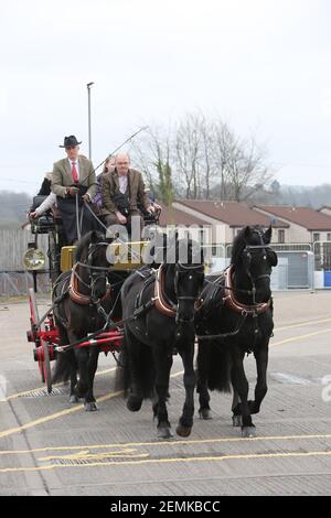 Stagecoach garage, Kilmarnock, Écosse, Royaume-Uni 08 avril 2018. Journée portes ouvertes au dépôt avec divers bus et autocars exposés, rétrogradations et magasins. Un cheval de stagecoach a donné des promenades autour de la cour de garage Banque D'Images