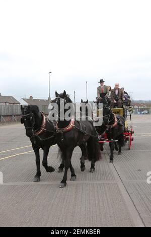 Stagecoach garage, Kilmarnock, Écosse, Royaume-Uni 08 avril 2018. Journée portes ouvertes au dépôt avec divers bus et autocars exposés, rétrogradations et magasins. Un cheval de stagecoach a donné des promenades autour de la cour de garage Banque D'Images