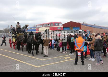 Stagecoach garage, Kilmarnock, Écosse, Royaume-Uni 08 avril 2018. Journée portes ouvertes au dépôt avec divers bus et autocars exposés, rétrogradations et magasins. Un cheval de stagecoach a donné des promenades autour de la cour de garage Banque D'Images