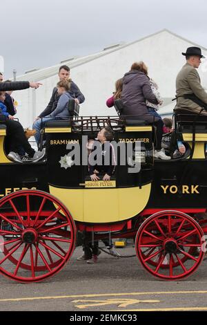 Stagecoach garage, Kilmarnock, Écosse, Royaume-Uni 08 avril 2018. Journée portes ouvertes au dépôt avec divers bus et autocars exposés, rétrogradations et magasins. Un cheval de stagecoach a donné des promenades autour de la cour de garage Banque D'Images