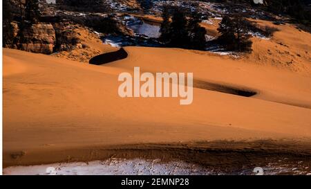Parc national Coral Pink Sand Dues à la fin de l'hiver. L'érosion, le vent et la météo forment ces dunes à partir des formations rocheuses de grès Navajo voisines. Banque D'Images