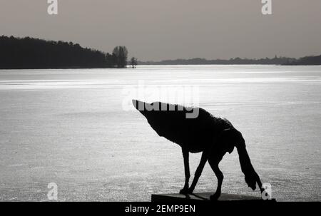 24 février 2021, Mecklembourg-Poméranie occidentale, Waren (Müritz): Le soleil se reflète dans la glace Müritz devant la sculpture 'le Loup-she' de Walther Preik (05.03.1932 - 11.05.2018). Indépendamment des températures douces pendant plus d'une semaine, une calotte glaciaire fermée arrête toujours toute navigation sur le Müritz, le plus grand lac intérieur d'Allemagne avec une superficie de 117 kilomètres carrés. Photo: Bernd Wüstneck/dpa-Zentralbild/ZB Banque D'Images