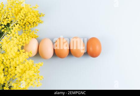 Œufs de différentes tonalités sur fond bleu avec fleurs jaunes sur fond bleu. Copier l'espace. Banque D'Images