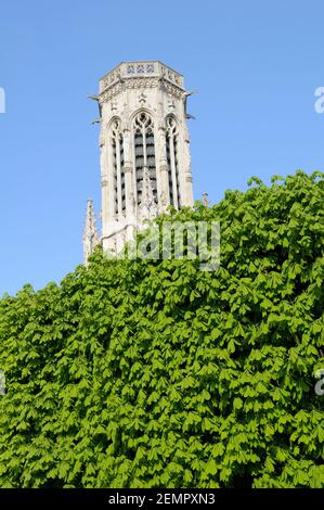 Clocher de Saint-Germain-l'Auxerrois, place du Louvre, Paris, Île-de-France, France Banque D'Images