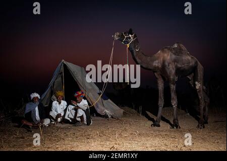 Trois bergers de chameaux se reposent devant leur tente, avec l'un de leurs plus grands chameaux, au festival Pushkar Camel, Pushkar, Inde Banque D'Images