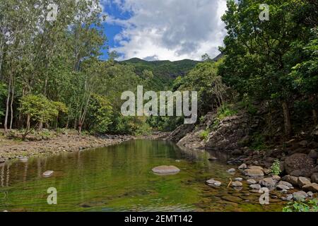 La rivière Noire traversant le paysage montagneux du parc national de la gorge de la rivière Noire à Maurice, avec des arbres endémiques sur ses rives. Banque D'Images