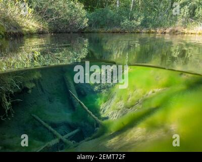Vue en deux parties de la piscine de printemps Banque D'Images