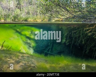 Vue en deux parties de la piscine de printemps Banque D'Images