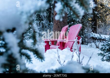 Deux chaises Adirondack rouges à proximité de la rivière Maligne en hiver Banque D'Images