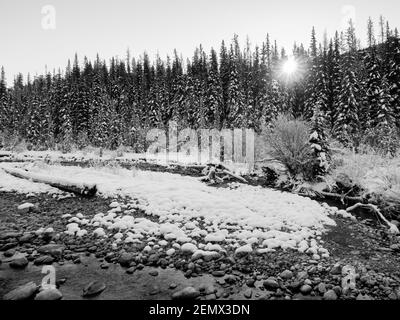 Photographie en noir et blanc de la rivière Maligne dans le parc national Jasper, Canada Banque D'Images