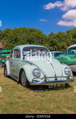 Volkswagen Beetle Banque D'Images