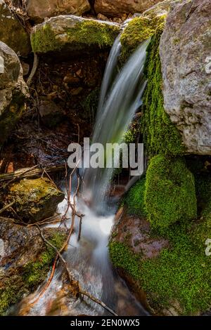 Petite cascade le long d'un ruisseau de montagne dans la région sauvage de Miller Peak des montagnes Huachuca, forêt nationale de Coronado, Arizona, États-Unis Banque D'Images