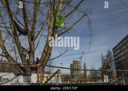 Londres, Royaume-Uni. 23 février 2021. C'est le deuxième jour de "séance d'arbres" à Wandsworth York Gardens, Battersea. Dans le but de sauver un peuplier noir de 100 ans de l'abattage, trois activistes l'ont grimpé et occupé pendant la nuit du 21 au 22 février. L'arbre devait être coupé pour faire place à un nouveau câble électrique, dans le cadre du programme de régénération locale des logements par le conseil et Taylor Wimpey Homes. Les protecteurs d'arbre et leurs partisans croient que le câble aurait pu être détourné pour épargner l'arbre. Banque D'Images