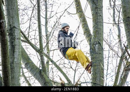 Londres, Royaume-Uni. 23rd févr. 2021. Le militant environnemental Marcus Decker, 32 ans, monte pour vérifier le statut d'un nid d'oiseau. C’est le deuxième jour de « séance d’arbres » aux jardins de York, à Battersea, à Londres, où trois activistes ont occupé un peuplier noir de 100 ans pour le sauver de l’abattage, dans la nuit du 21st au 22nd février. L'arbre devait être coupé pour faire place à un nouveau câble électrique, dans le cadre du programme de régénération locale des logements par le conseil et Taylor Wimpey Homes. Habituellement, la présence de nids d'oiseaux actifs est une raison suffisante pour arrêter ou retarder l'abattage des arbres. Banque D'Images