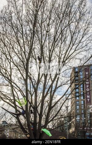 Londres, Royaume-Uni. 23 février 2021. Le militant environnemental Marcus Carambola, 32 ans, monte pour vérifier le statut d'un nid d'oiseau. C’est le deuxième jour de « séance d’arbres » au York Gardens de Londres, à Battersea, où trois activistes ont occupé un peuplier noir de 100 ans pour le sauver de l’abattage, dans la nuit du 21 au 22 février. L'arbre devait être coupé pour faire place à un nouveau câble électrique, dans le cadre du programme de régénération locale des logements par le conseil et Taylor Wimpey Homes. Habituellement, la présence de nids d'oiseaux actifs est une raison suffisante pour arrêter ou retarder l'abattage des arbres. Banque D'Images