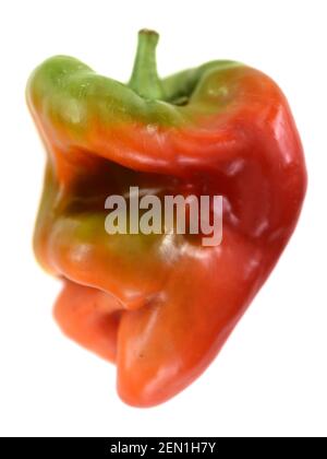 Légumes biologiques de forme moche. Poivron en forme de maison déformé isolé sur fond blanc Banque D'Images