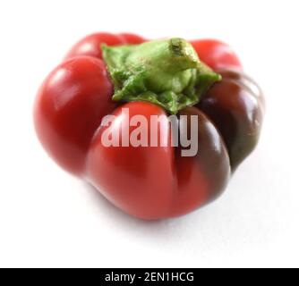 Légumes biologiques. Poivron rouge de forme étrange isolé sur fond blanc Banque D'Images