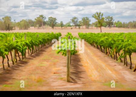 Peinture numérique d'un vignoble dans la Hunter Valley, Nouvelle-Galles du Sud, Australie. Banque D'Images