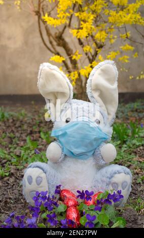 Pâques 2021 concept pendant la pandémie mondiale de coronavirus COVID-19 avec lapin de Pâques portant un masque médical et des fleurs de printemps colorées dans le jardin. Banque D'Images