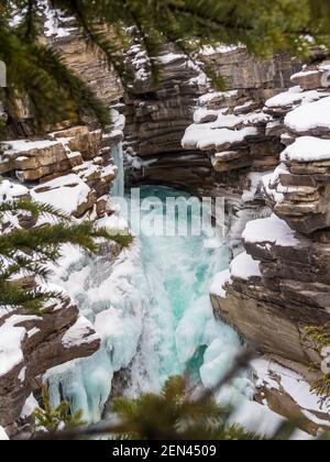 Belle vue sur les chutes d'Athabasca gelées en hiver, au Canada Banque D'Images