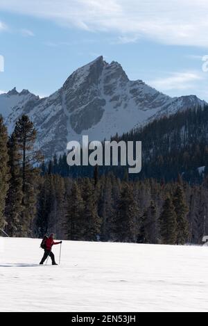 Ski de fond dans la région de Park Creek, Sawtooth Mountains, Idaho. Banque D'Images