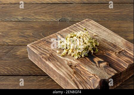 Nourriture germinée. Haricots germés dans une assiette sur fond de bois rustique. Macrobiotiques Banque D'Images