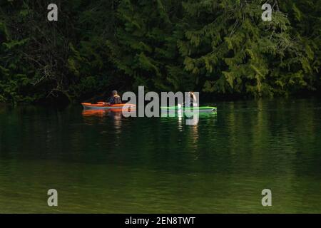 Kayaks rouges et verts sur le lac McIvor lors d'une journée d'hiver douce et ensoleillée sur l'île de Vancouver. Deux personnes pagayer, arbres, soleil, scène paisible, réflexion. Banque D'Images