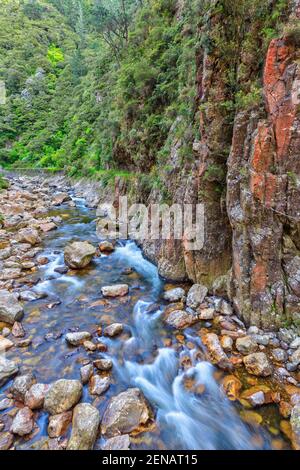 Gorge de Karangahake, Nouvelle-Zélande. La rivière rocheuse Waitawheta coule au fond d'une vallée profonde Banque D'Images