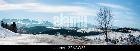 Large panorama des montagnes de Tatra , partie ouest, en hiver, avec un arbre et une route vue de Bukowina Tatrzanska en Pologne Banque D'Images