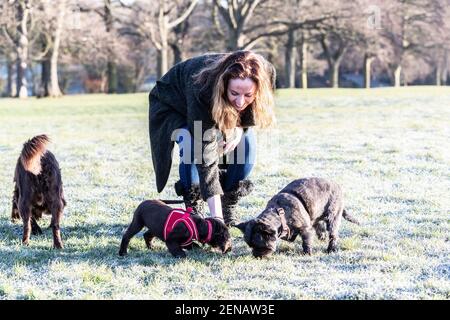 Northampton, Royaume-Uni, 26 février 2021. Météo Royaume-Uni. Un matin froid et gelé avec les propriétaires dehors avec leurs animaux de compagnie appréciant le temps ensoleillé. Crédit : Keith J Smith./Alamy Live News Banque D'Images