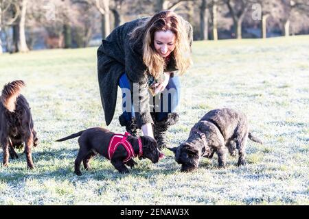 Northampton, Royaume-Uni, 26 février 2021. Météo Royaume-Uni. Un matin froid et gelé avec les propriétaires dehors avec leurs animaux de compagnie appréciant le temps ensoleillé. Crédit : Keith J Smith./Alamy Live News Banque D'Images