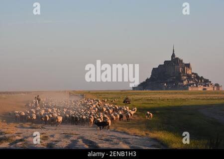 le mont saint michel, France Banque D'Images