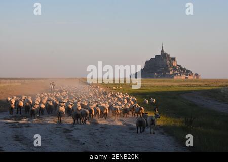 le mont saint michel, France Banque D'Images