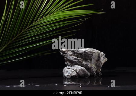 Podium en pierre naturelle de luxe avec feuilles de palmier vertes et eau comme rive dans la jungle la nuit pour montrer l'emballage et les produits sur fond noir. Banque D'Images