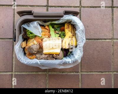 Vue en hauteur d'un berceau intérieur de recyclage de nourriture plein de déchets de cuisine dans un sac de compostage, Royaume-Uni Banque D'Images