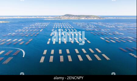 Panorama aérien des tables d'huîtres à Bouzigues sur le lagon de Thau, dans l'Hérault en Occitanie, France Banque D'Images