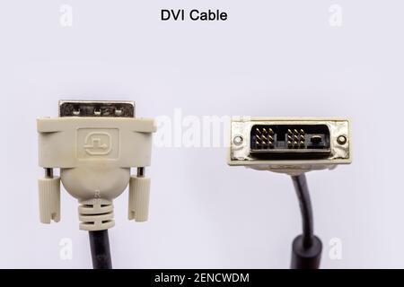 Connecteur de câble DVI. Connecteur de moniteur DVI blanc isolé sur fond blanc. Banque D'Images