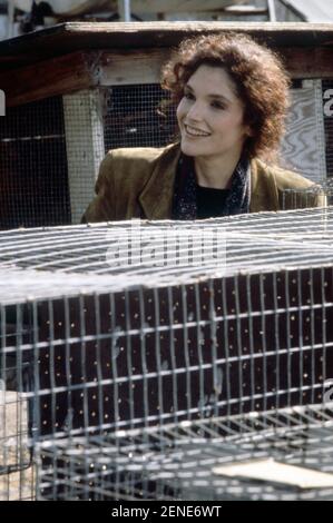 Class action année : 1991 USA Directeur : Michael Apted Mary Elizabeth Mastrantonio Banque D'Images