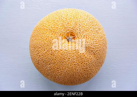 Vue de dessus image de melon de miel avec texture de peau sur un fond clair. Le melon de miel est le fruit d'un groupe de cultivar du melon musqué.