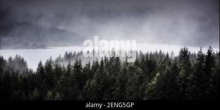 Brouillard roulant sur le Loch Tulla et forêt de conifères dans Scottish Highlands.Dark et moody paysage.Scotland un jour sombre. Banque D'Images