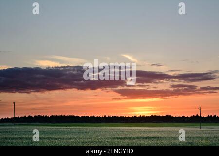 champ vert et ciel rougeâillé dans la lumière du coucher du soleil. ligne d'alimentation passe à travers le champ Banque D'Images