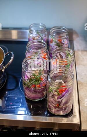 Oignons rouges marinés, doux et épicés faits maison, tranchés dans un grand pot en verre maçon, faits avec des piments, de l'ail, des cornes de poivre, du romarin et de la cande de pomme Banque D'Images