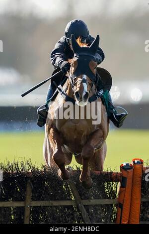 Les falaises de Cabot, criblées par Harry Skelton, ont remporté le dernier obstacle au South West Syndicate Juvenile à l'hippodrome de Warwick. Date de la photo : vendredi 26 février 2021. Banque D'Images