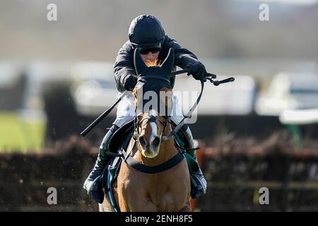 Les falaises de Cabot, criblées par Harry Skelton, ont remporté le dernier obstacle au South West Syndicate Juvenile à l'hippodrome de Warwick. Date de la photo : vendredi 26 février 2021. Banque D'Images