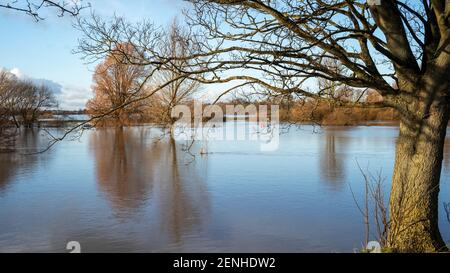 Eaux de crue dans la rivière Ouse et Clifton ings, Water End, York, Royaume-Uni Banque D'Images