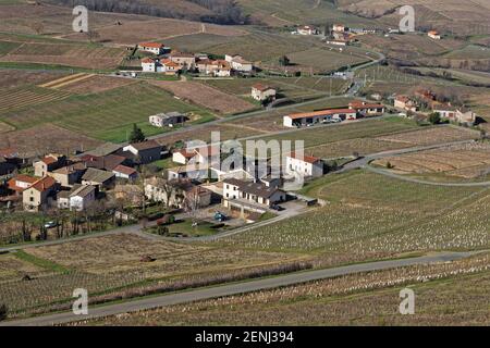 Paysage de vignobles autour de Brouilly, un célèbre vin du Beaujolais Banque D'Images