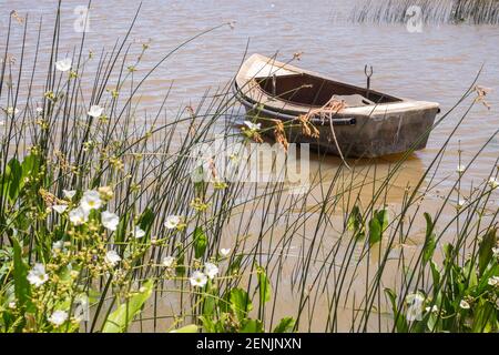 Petit bateau de pêche ancré près de la côte, dans le port de Juan Lacaze, Colonia, Uruguay Banque D'Images