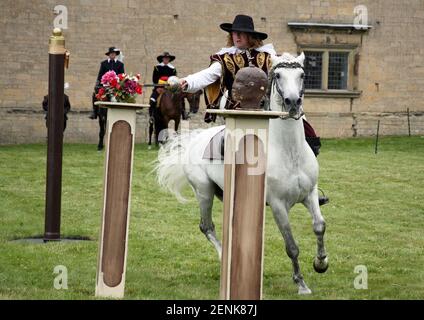 Bolsover Castle Horse and cavalier: Arena Spectacular 2015 Banque D'Images